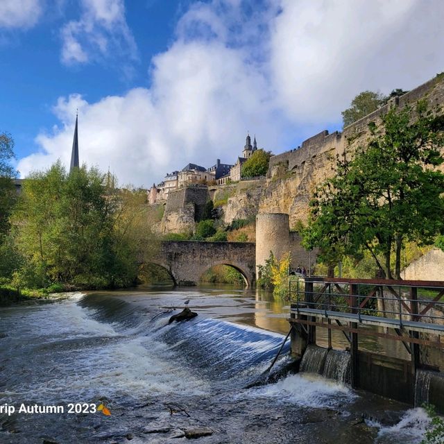 FREE public transportation in Luxembourg