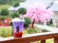 Guzzu cafe & Bistro คาเฟ่สไตล์ญี่ปุ่น