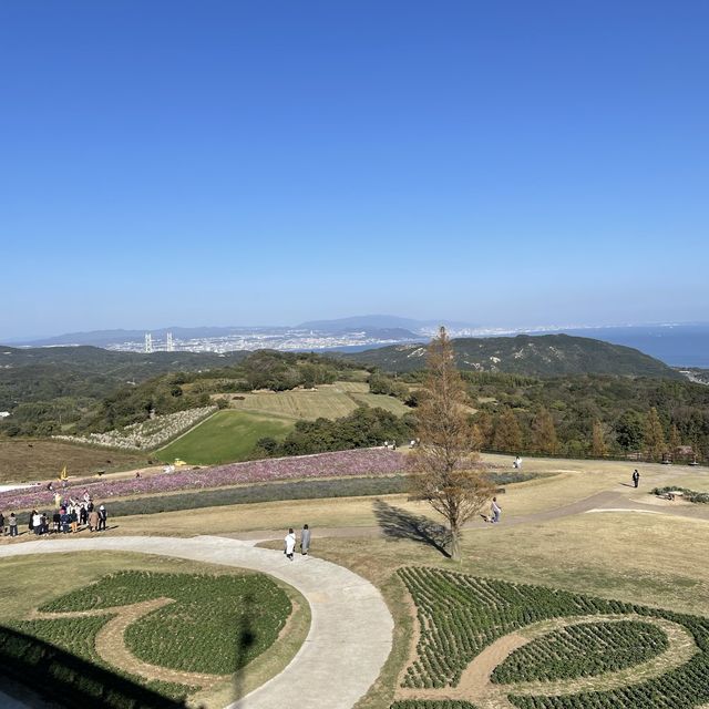 【淡路島】絶景も淡路島土産も堪能できる花さじきテラス館