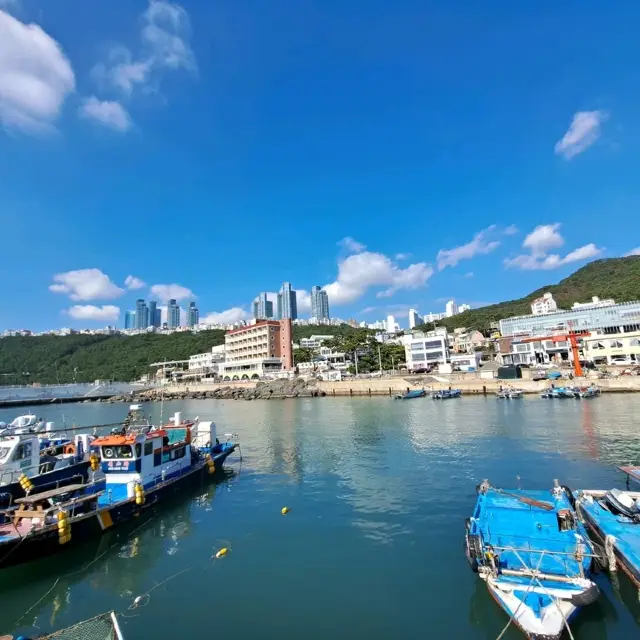 釜山🇰🇷青沙浦天空步道紅白燈塔～海水湛藍🌊