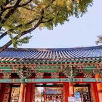 Great to see Jeonju Hanok Village in autumn