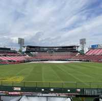 Experience Baseball in Japan 