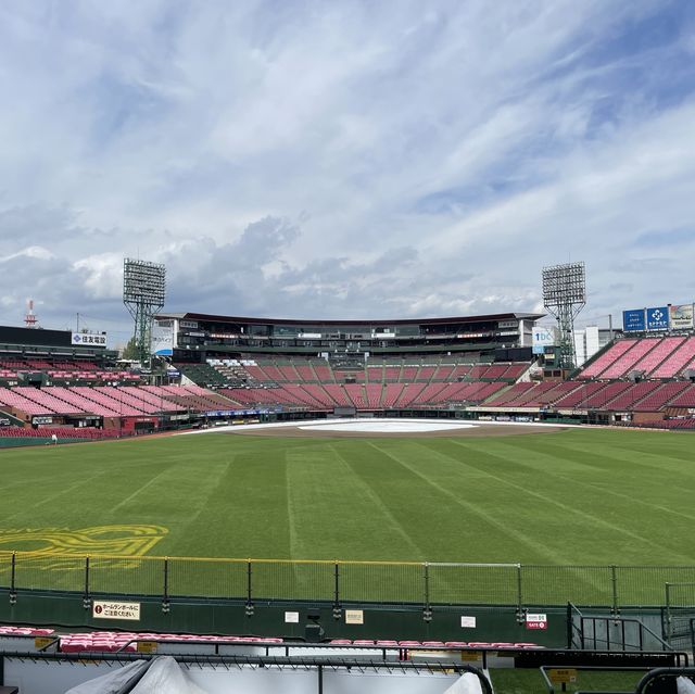 Experience Baseball in Japan 