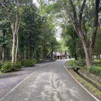 ที่เที่ยวเชียงใหม่หน้าหนาว “น้ำพุร้อนสันกำแพง” ☁️🌳