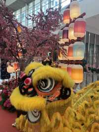 Celebrating Year of Rabbit in Bukit Bintang