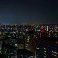 후쿠오카를 한눈에 내려다 볼 수 있는 후쿠오카 타워