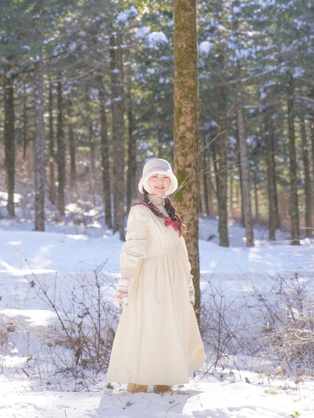 눈덮힌 겨울엔 가줘야지 대관령❄️