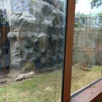 Manila Zoo