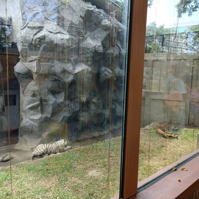 Manila Zoo