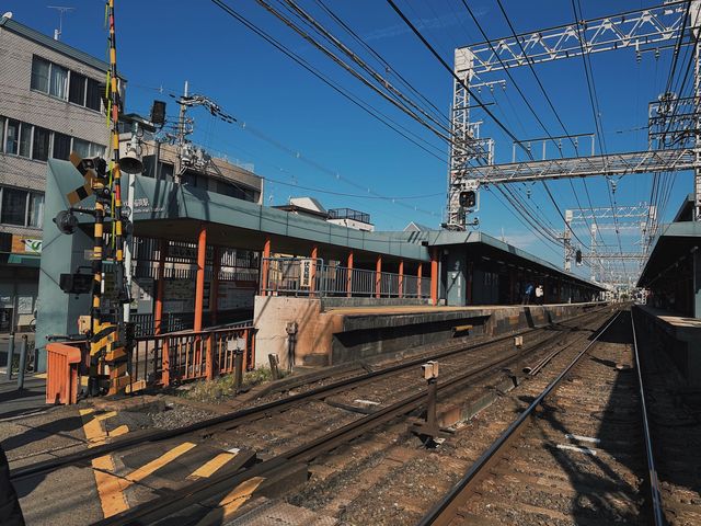 京都 | 經典橙色千本鳥居呈現眼前