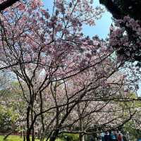 Yangmingshan National Park