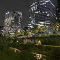 Cheonggyecheon: Urban Oasis in Seoul's Heart