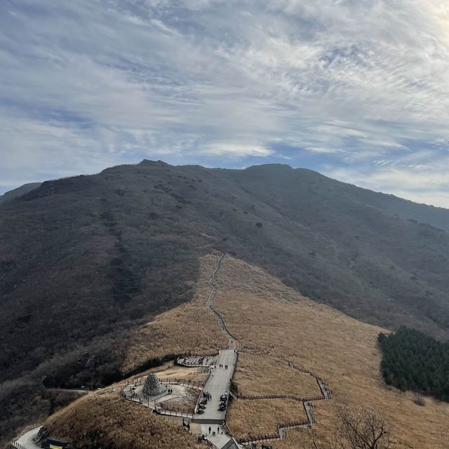 아름다운 억새를 볼 수 있는 울산 간월재