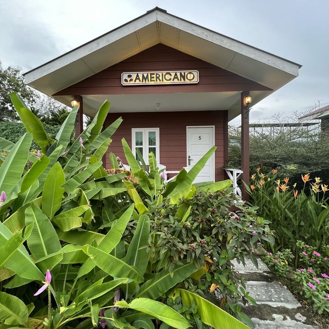 Tenom Coffee