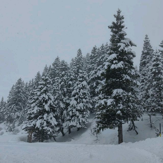 First taste of snow