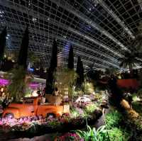 Blossoms under Starlight: Night at Flower Dome