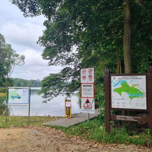 Macritchie Reservoir Like Never Before