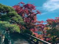 วัดคิโยะมิซุ 清水寺 หรือวัดน้ำใส 🍁⛩️