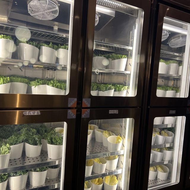 舒適闊落。近百款食材之火鍋放題店