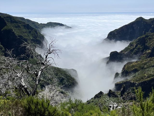 葡萄牙外島-Madeira上山下海之旅