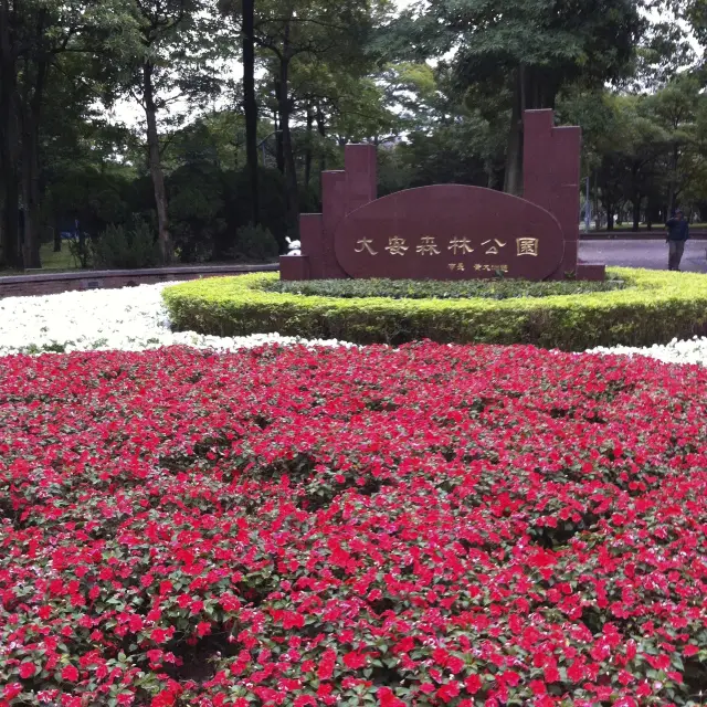 遊大安森林公園等食鼎泰豐小籠包