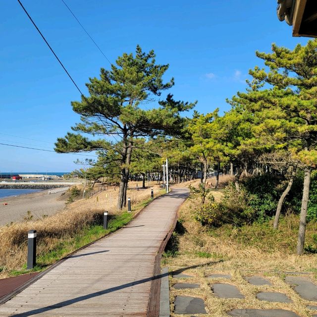 두근두근여름휴가 제주도 여행 이호테우 해변