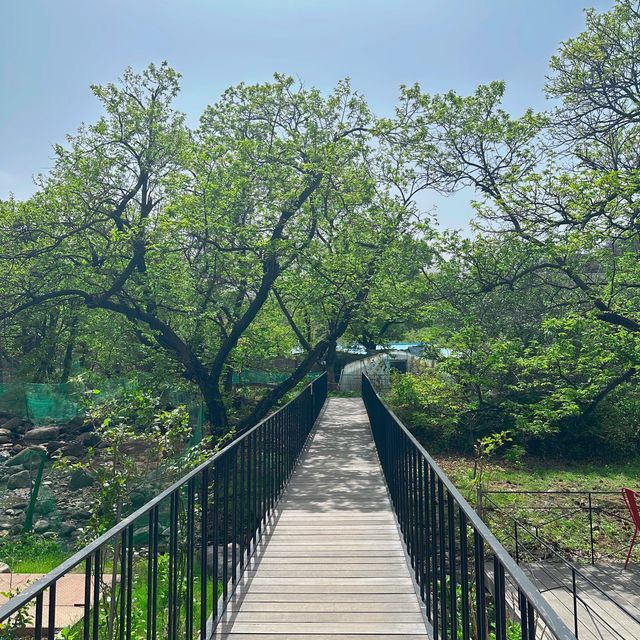강릉의 핫플카페 테라로사