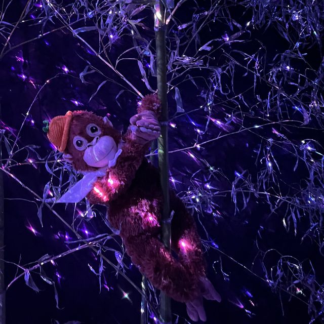 볼거리가 끊이지 않는 미디어아트 전시 노형수퍼마켙✨