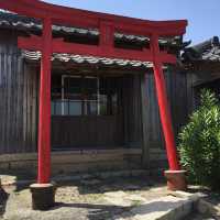 犬島 ｜🏝️小島與藝術的結合
