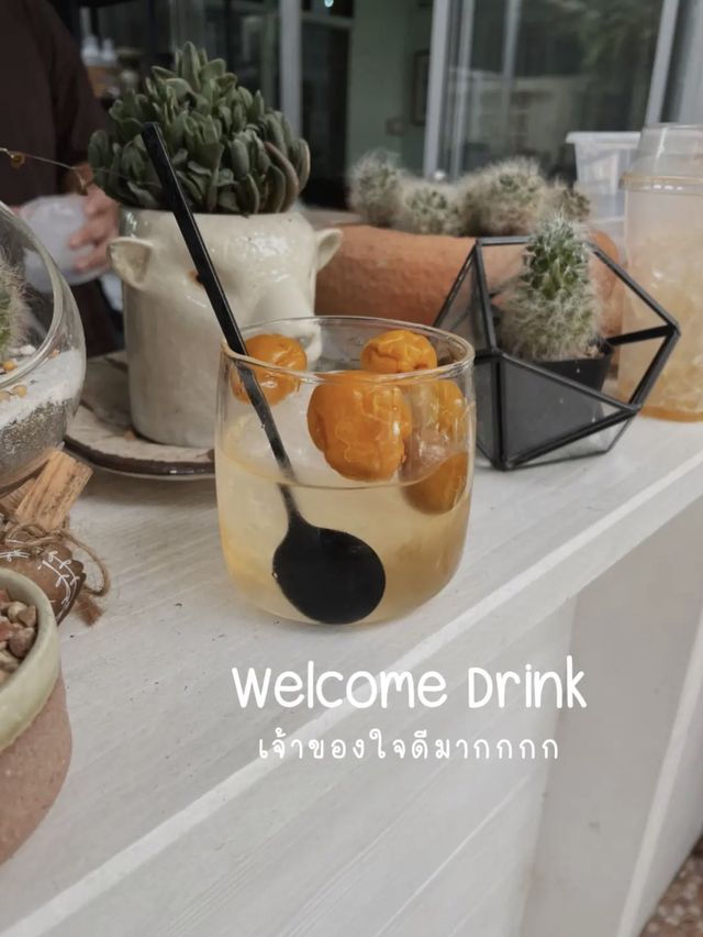 คาเฟ่ลับ (สุรินทร์) ☕️🐘