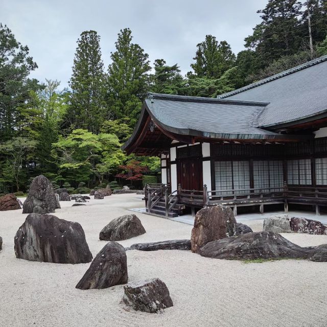 靈巖靜修！⛩️🧘 高野山