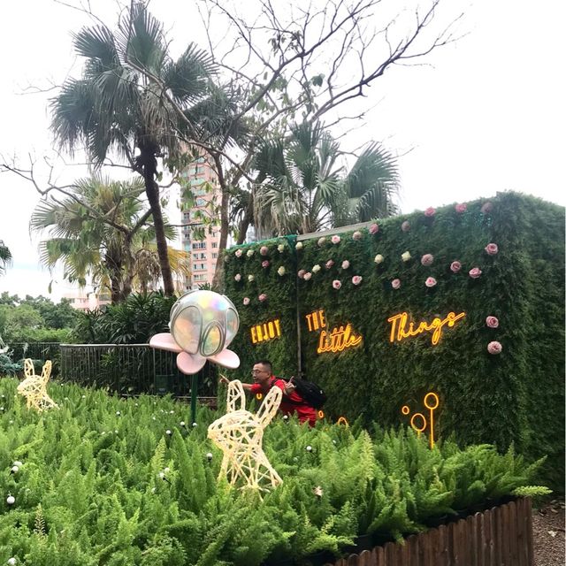 Instagrammable Garden