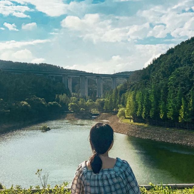 이국적인 부산 피크닉 스팟 용소 웰빙공원 