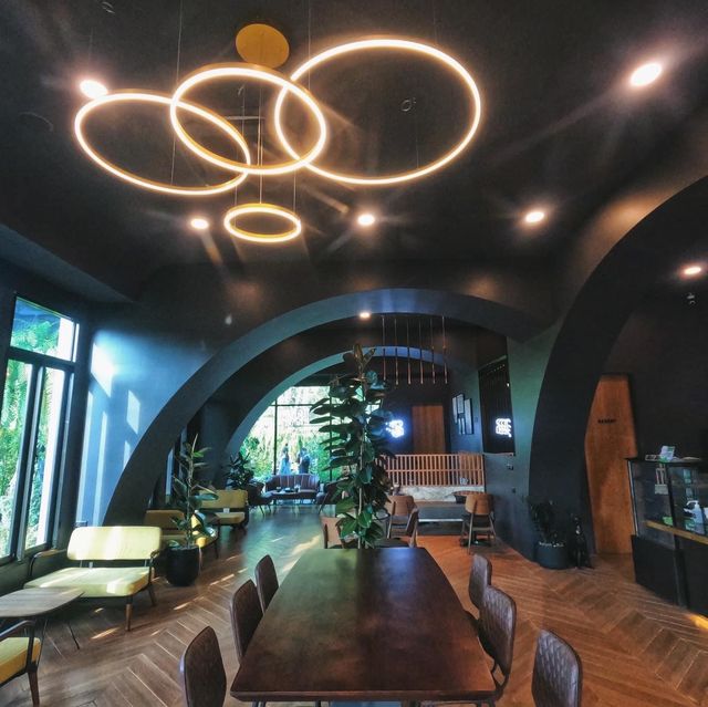  Barista Haus Coffee 