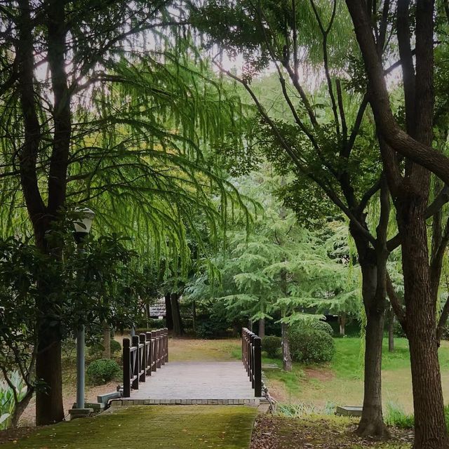 黃陂生態濕地園 🌿與鳥兒親密互動的鳥語之旅 🦆🌏