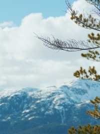 🇨🇦 來加拿大不可錯過的 畢生難忘 最美風景纜車 Sea to Sky Gondola🚡