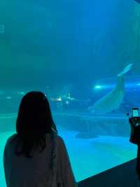 추위걱정 없는 실내 데이트는 아쿠아리움🩵🐠