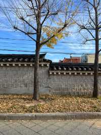 포토존 가득한 부산여행지