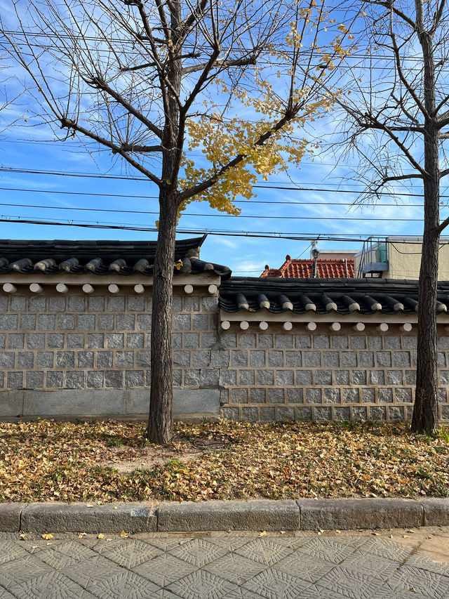 포토존 가득한 부산여행지