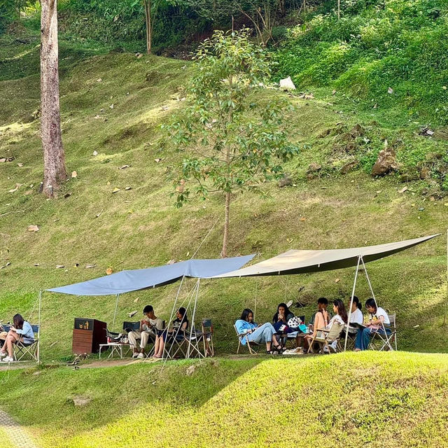 WTF Coffee Camp 🏕️☕️  