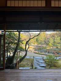 【京都】穴場だけど素敵な庭園