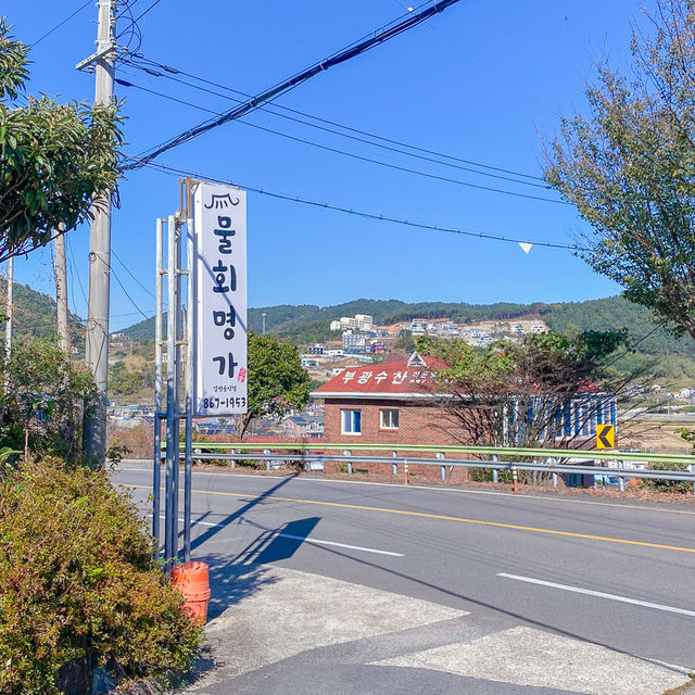 남해 독일마을 근처 맛집 📍혼밥도 괜찮은 물회명가