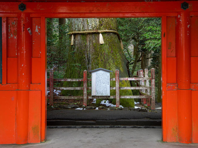 Hakone Shrine