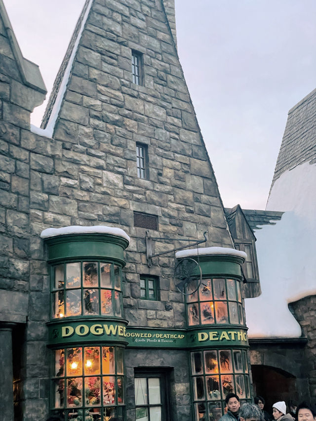 พาทัวร์ The Wizarding World of Harry Potter 🪄