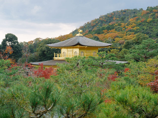 京都景點｜世界遺產金閣寺