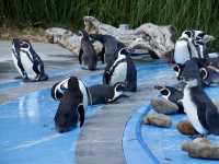 Saitama Children's Zoo