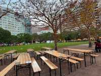 福岡・天神。クリスマスイルミネーションで華やかな『天神中央公園』