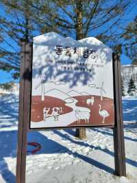 눈쌓인 동물체험장 어떤데🥹❄️