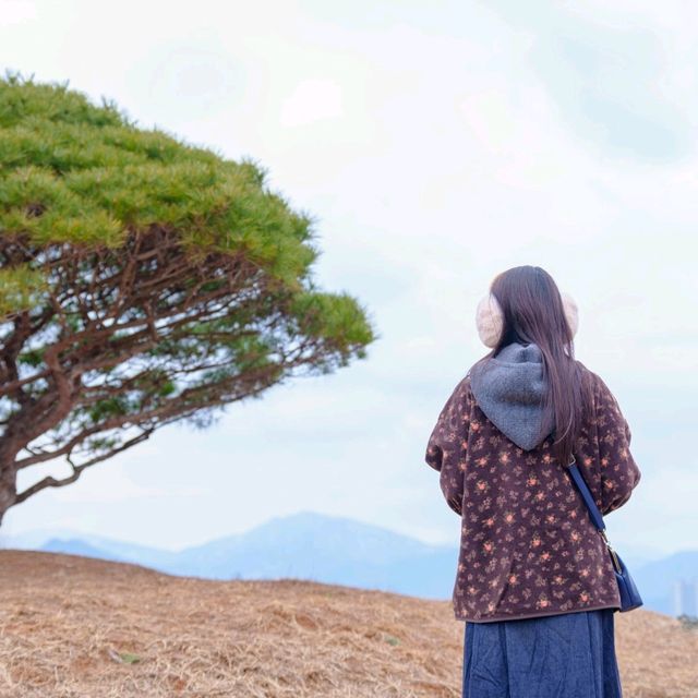 겨울에도 산책하기에 너무 좋은 가평 자라섬