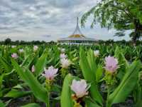 สวนหลวง ร9 พักผ่อน